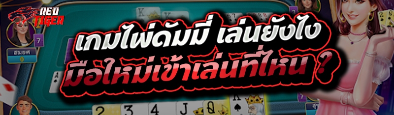 เกมไพ่ดัมมี่ เล่นยังไง มือใหม่เข้าเล่นที่ไหน