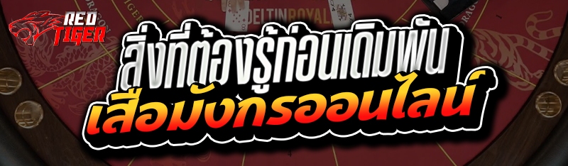 สิ่งที่ต้องรู้ก่อนเดิมพัน เสือมังกรออนไลน์