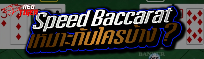 Speed Baccarat เหมาะกับใครบ้าง ?