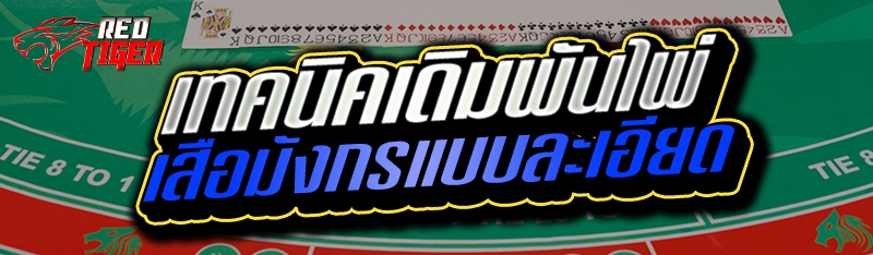 เทคนิคเดิมพันไพ่เสือมังกรแบบละเอียด