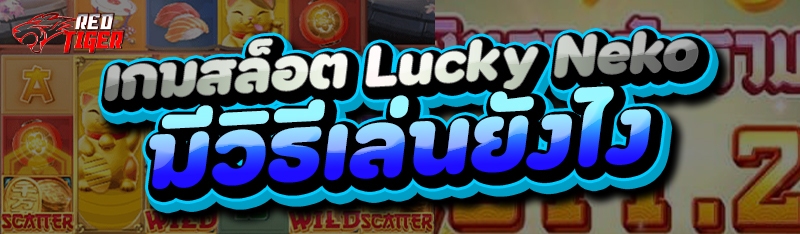 เกมสล็อต Lucky Neko มีวิธีเล่นยังไง